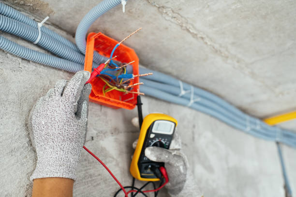 Best Electrical System Inspection  in Wimauma, FL